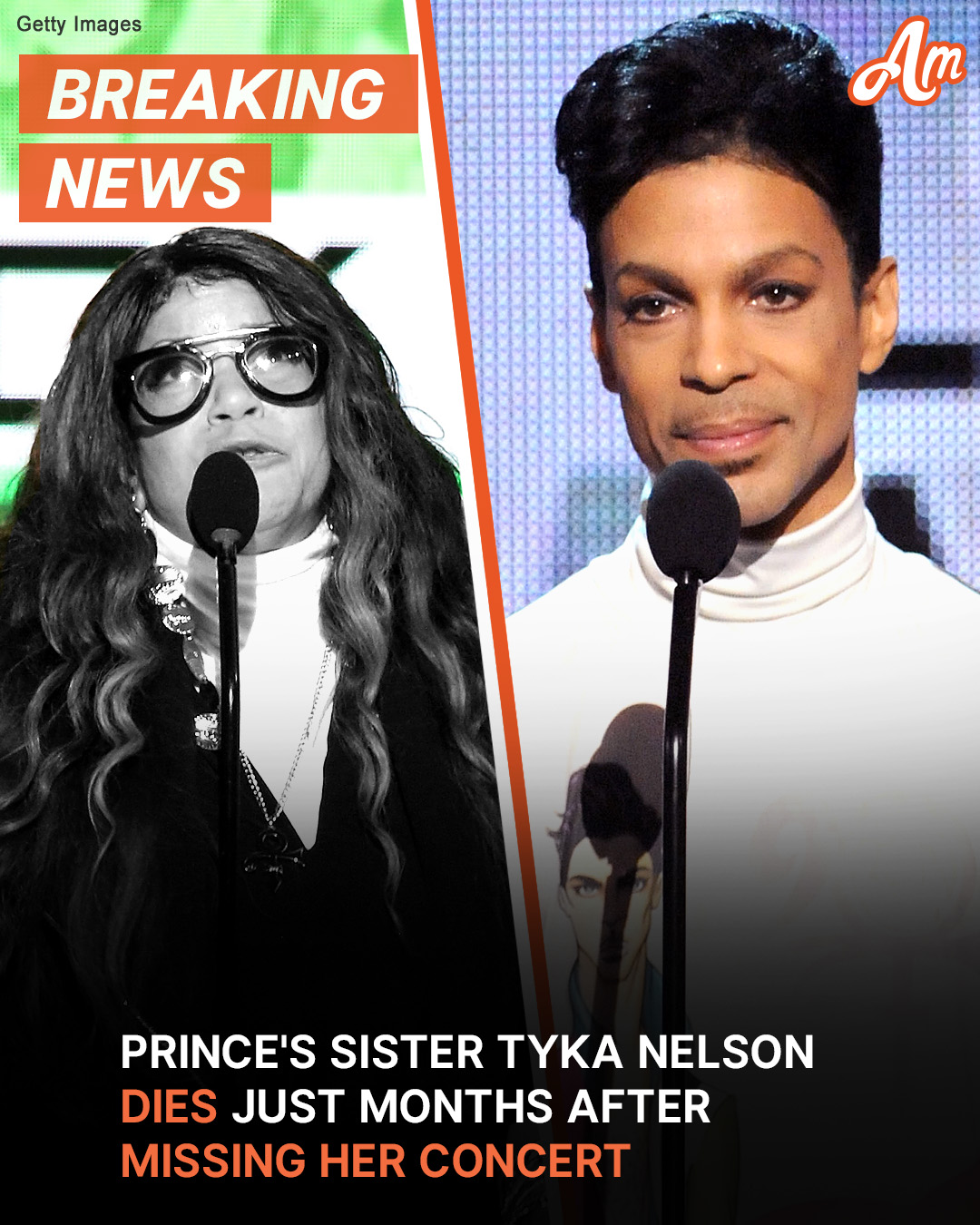 Prince’s Sister Tyka Nelson Dies — Details