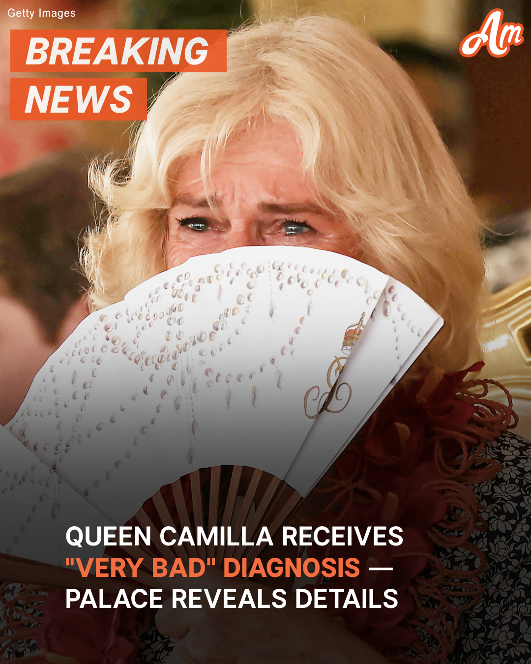 Queen Camilla Receives Diagnosis of Small Infection — Royal Fans Send Prayers for Healing