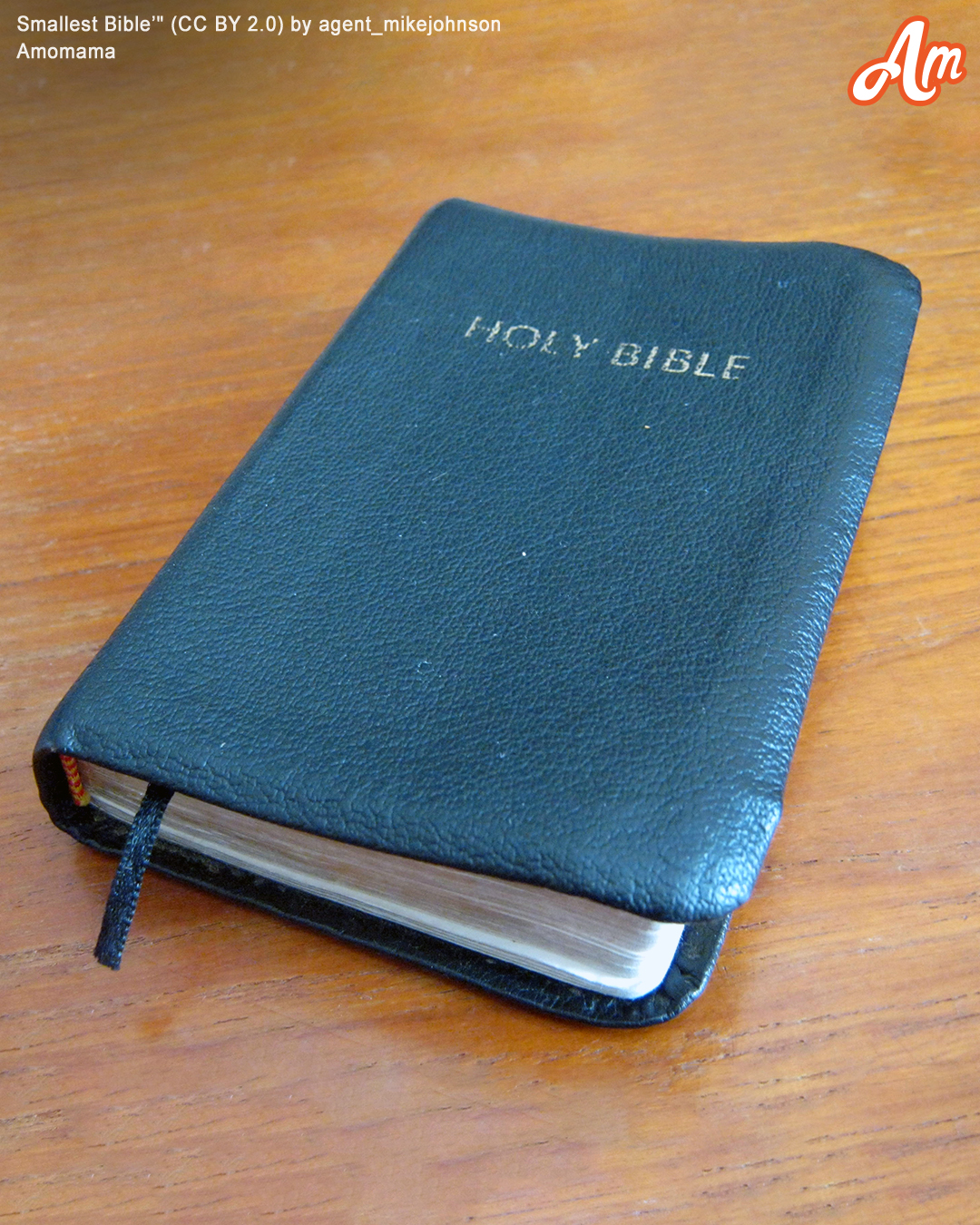 Old Lady Disinherits Grandson, Leaves Him Only a Bible & Note Saying, ‘Open It When It’s Hard’ – Story of the Day