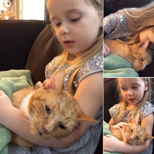 Little girl emotionally sings ‘You Are My Sunshine’ to 𝕕𝕪𝕚𝕟𝕘 cat