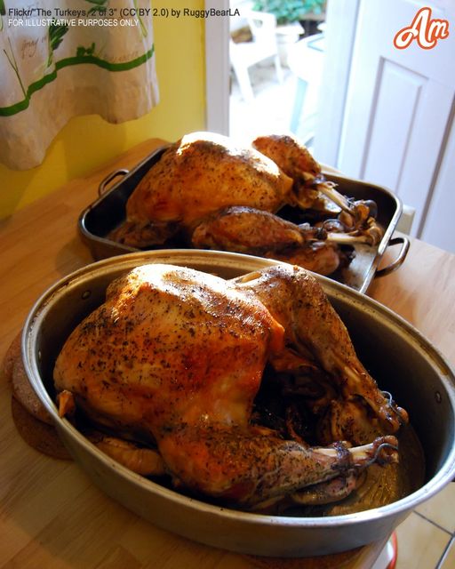 Lonely Man Shares Turkey with Barefoot Boy, a Year Later They Celebrate Thanksgiving as Family – Story of the Day