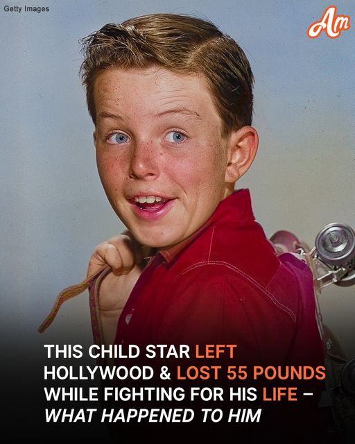 What Happened to This Child Star Who Left Hollywood & Fought for His Life? – His Photos at 76